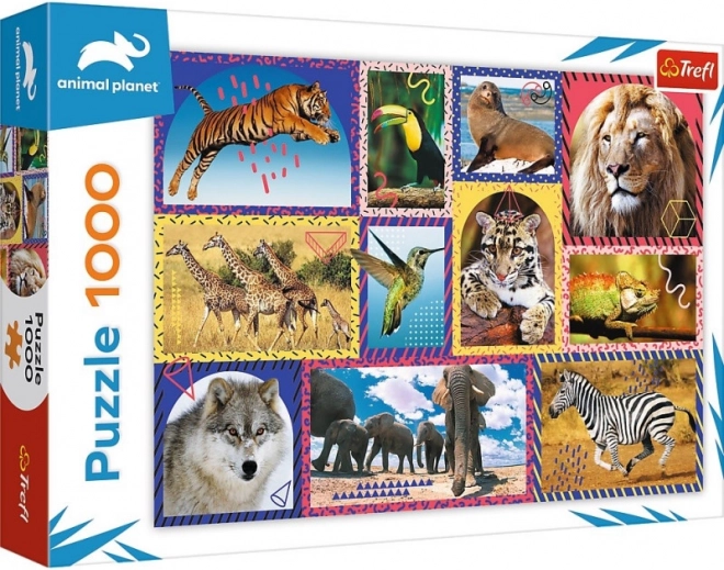 Puzzle Dzika przyroda 1000 elementów