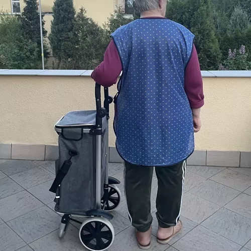 Składany wózek transportowy Gardlov 23187