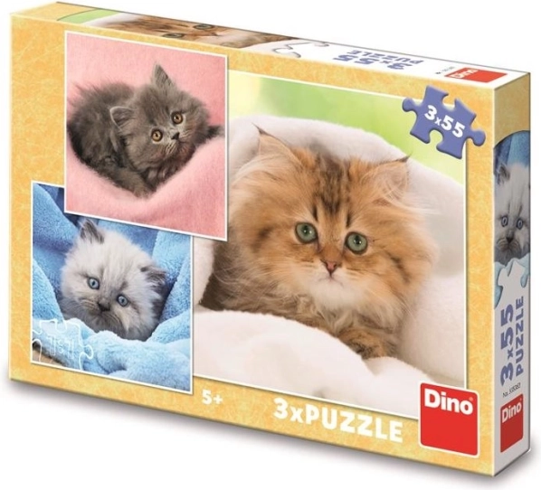 Puzzle dla dzieci urocze kocięta 3×55 elementów