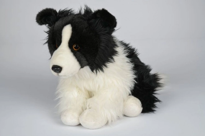 Pluszowy Border collie 35 cm