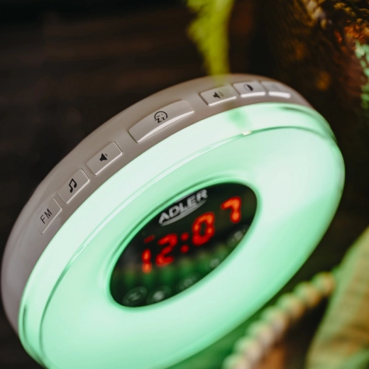 Dźwięki natury i radio FM