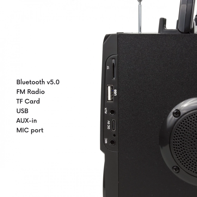 Głośnik Bluetooth z radiem i USB Audiocore