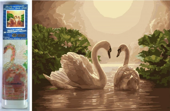 diamentowe malowanie Łabędza pieśń 30 × 40 cm