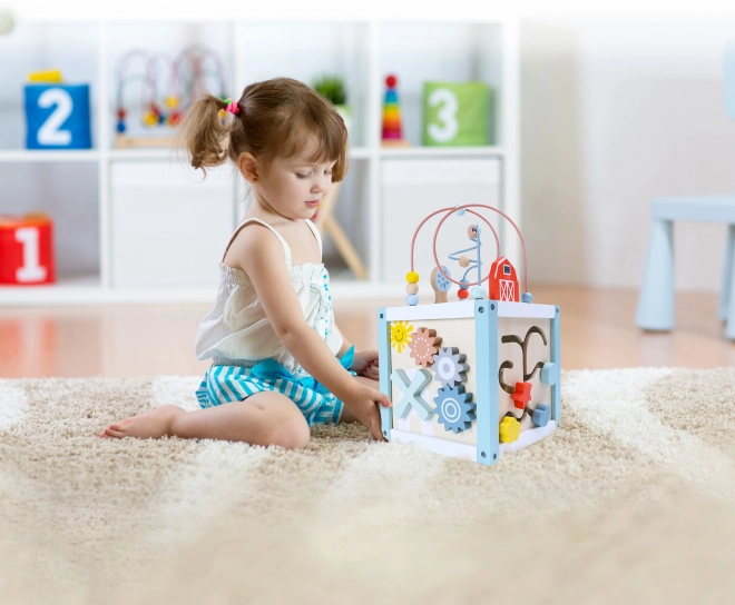 Drewniany sorter klocków z klockami Ecotoys