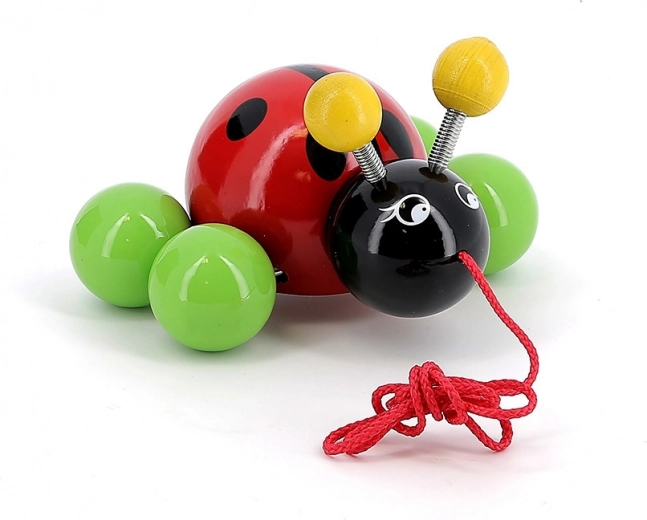 Gładka, lakierowana drewniana konstrukcja