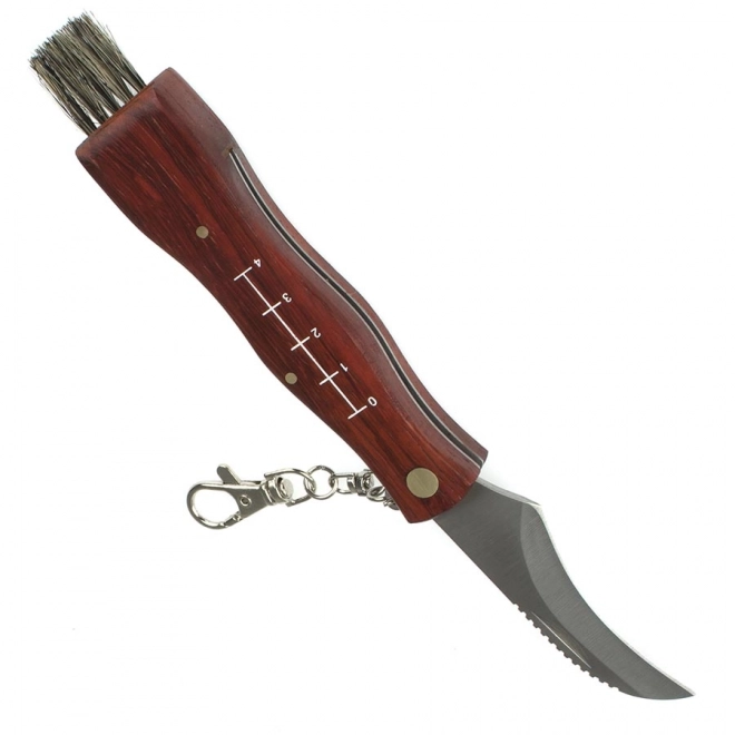 Scyzoryk do grzybów z etui