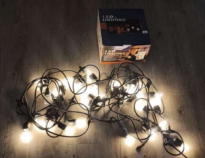 Ogród świateł łańcucha z 10 lampami LED