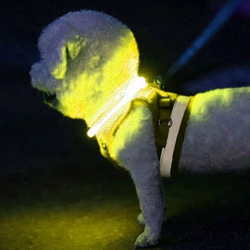Świecąca obroża LED dla psów i kotów