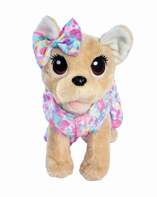 CCL Piesek Chihuahua Cukiereczek
