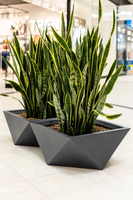 Designerska donica MONUMO VENDETTA wysokość 30 cm antracytowa