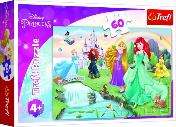 Puzzle 60 elementów Poznaj księżniczki DISNEY PRINCESS Trefl