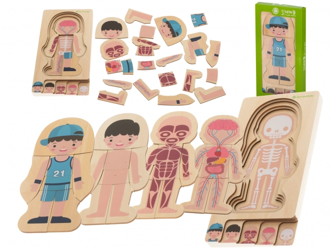 Drewniane warstwowe puzzle ludzkie ciało Montessori