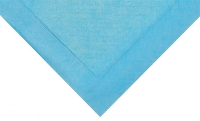 Chłonna higieniczna podkładka dla zwierząt 60 x 45 cm - 50 sztuk