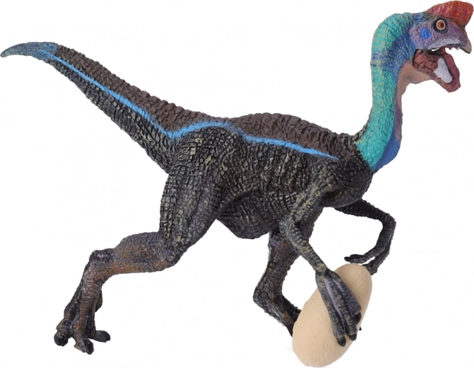 Idealna do nauki i kolekcji