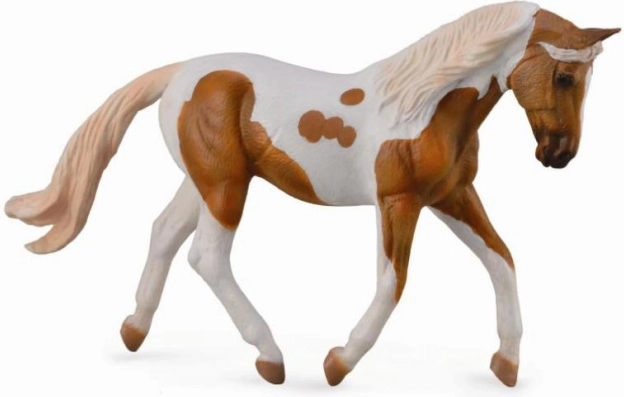 Collecta źrebię palomino