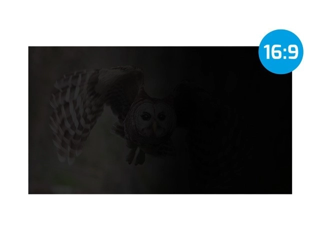 Filtr ochrony danych osobowych Natec Owl 16 cali 16:10