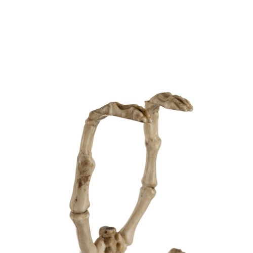 Szkielet nietoperza - dekoracja 30 cm Malatec