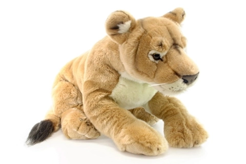 Puszysta lwica 70 cm