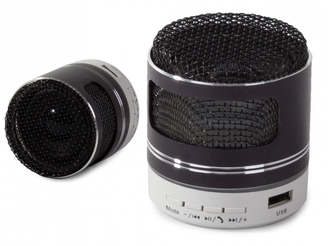 Mini bezprzewodowy głośnik Bluetooth z radiem FM, przenośnym odtwarzaczem MP3, USB i kartą microSD – Czarny