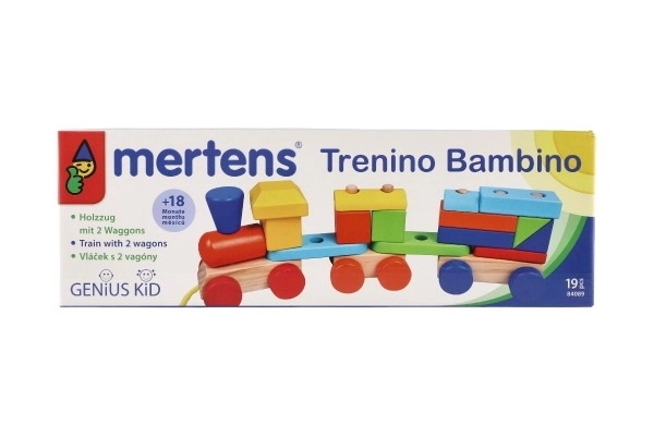 Kolorowy drewniany pociąg z wagonikami od Mertens