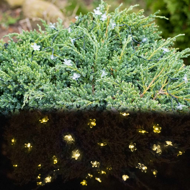 Solarne kwiatowe oświetlenie ogrodowe 7m 50LED ciepła biała