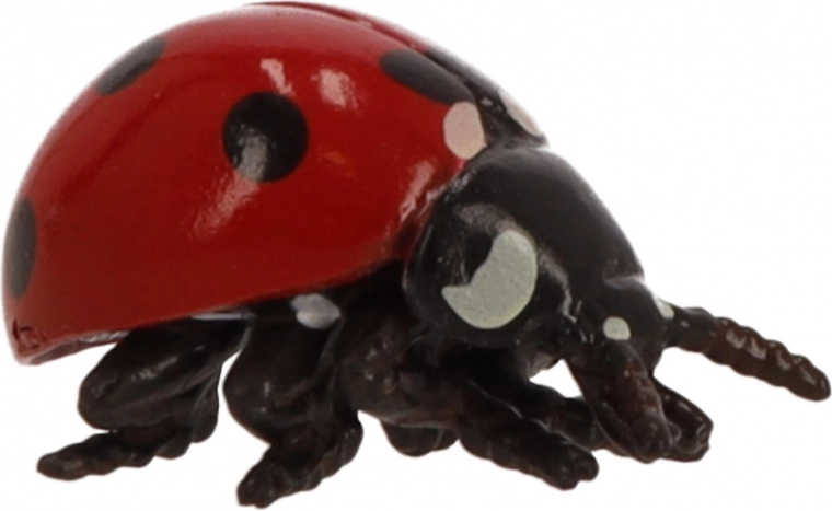 Małe wymiary, wielkie możliwości zabawy