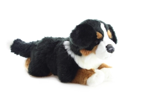 Pluszowy berneński pies pasterski 40 cm