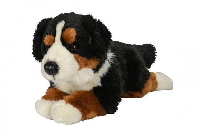Pluszowy berneński pies pasterski 40 cm