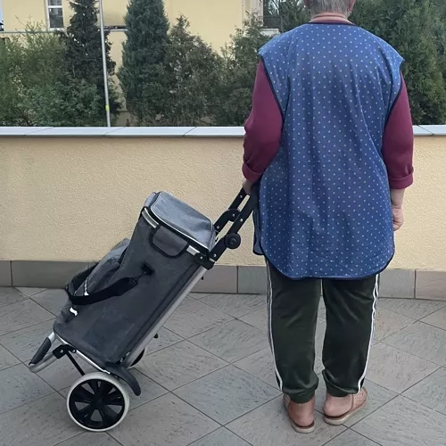 Składany wózek transportowy Gardlov 23187