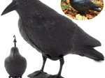 Odstraszacz ptaków – realistyczna figurka kruka XXL