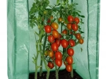 Tunel foliowy ogrodowy 100 × 50 × 150 cm