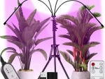 Lampa do uprawy LED na statywie z 4 ramionami CARDLOV