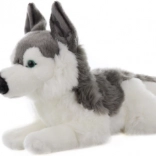 Pluszowy husky 43 cm