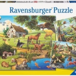 Puzzle RAVENSBURGER zwierzęta w lesie, w ZOO i na farmie 3×49 elementów