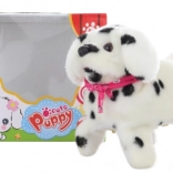 Chodzący piesek dalmatyńczyk z saltami