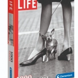 Puzzle Chihuahua od Clementoni 1000 elementów