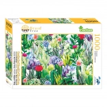 Puzzle Brain Tree Kaktusy 1000 elementów