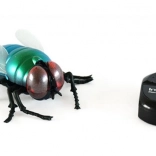 Magana mucha na pilot