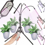 Lampa LED do uprawy roślin z panelem 4x80 LED