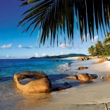 Ravensburger puzzle Pod palmami 1000 elementów