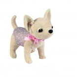 Piesek chihuahua DIDI