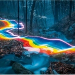 Puzzle 1000 elementów Magiczny las, Tęczowa ścieżka