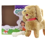 Brązowy piesek na kabel z pilotem