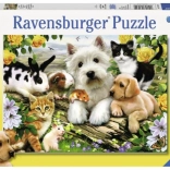 Ravensburger puzzle Happy Animal Buddies 300 elementów